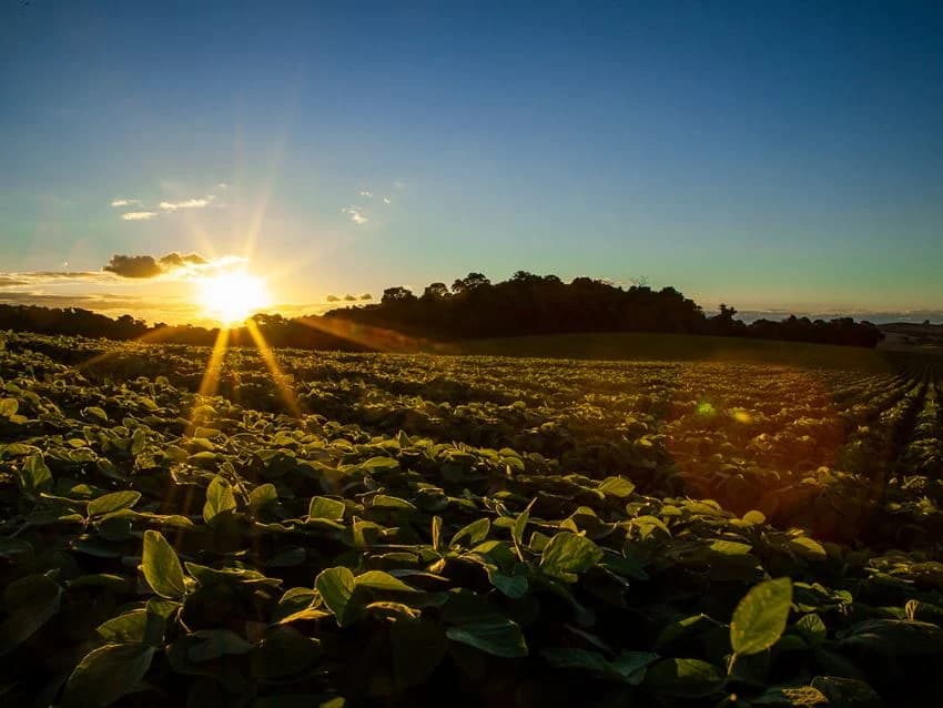 Região: CNA apresenta documento com 8 propostas e prioridades para o agro na COP 31