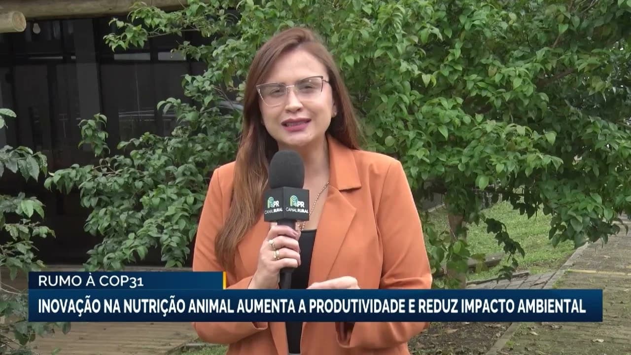 Em destaque: Inovação na nutrição animal promete aumentar produtividade e sustentabilidade