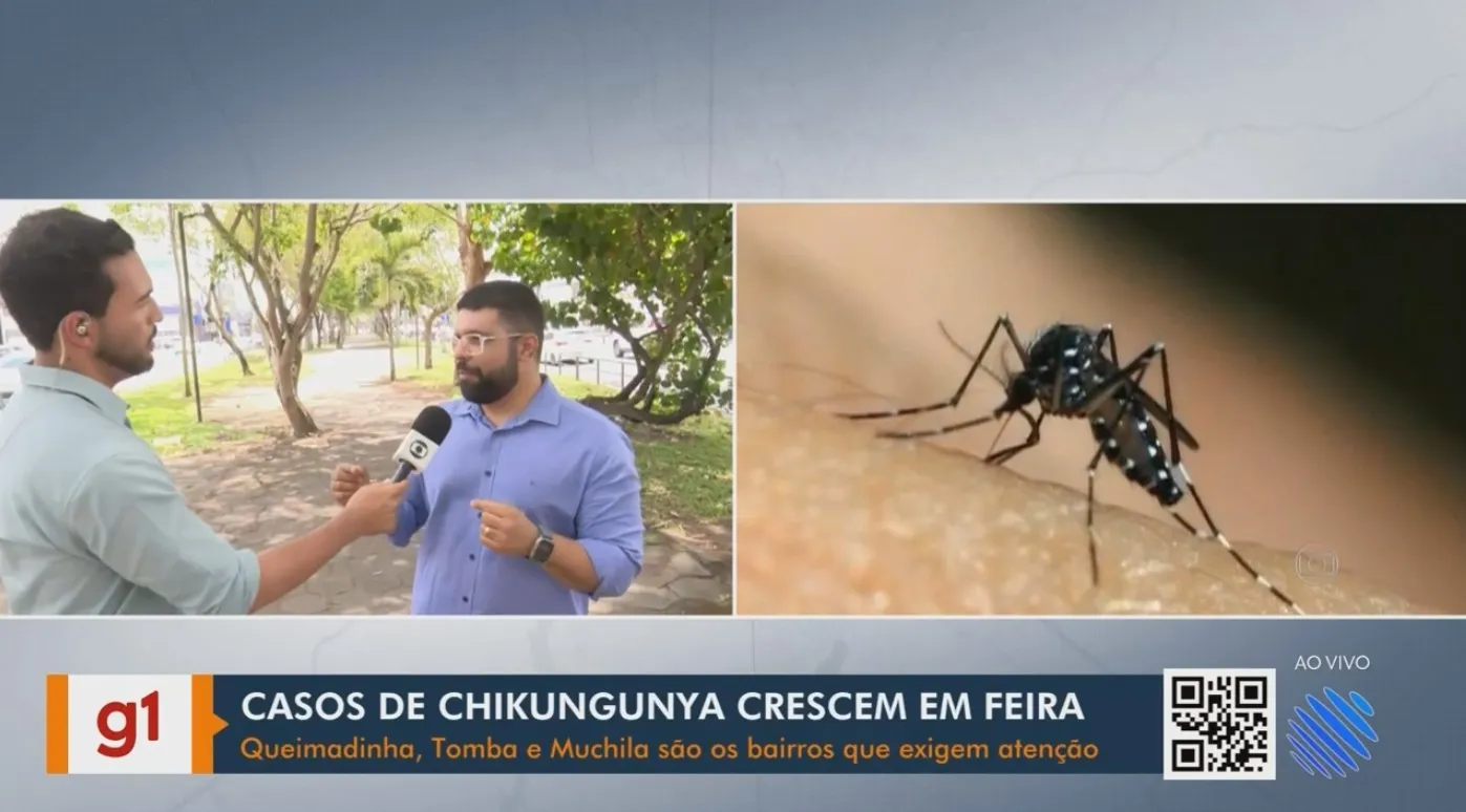 Atualização: Vídeos do g1 e TV Subaé - segunda-feira, 19 de outubro de 2026