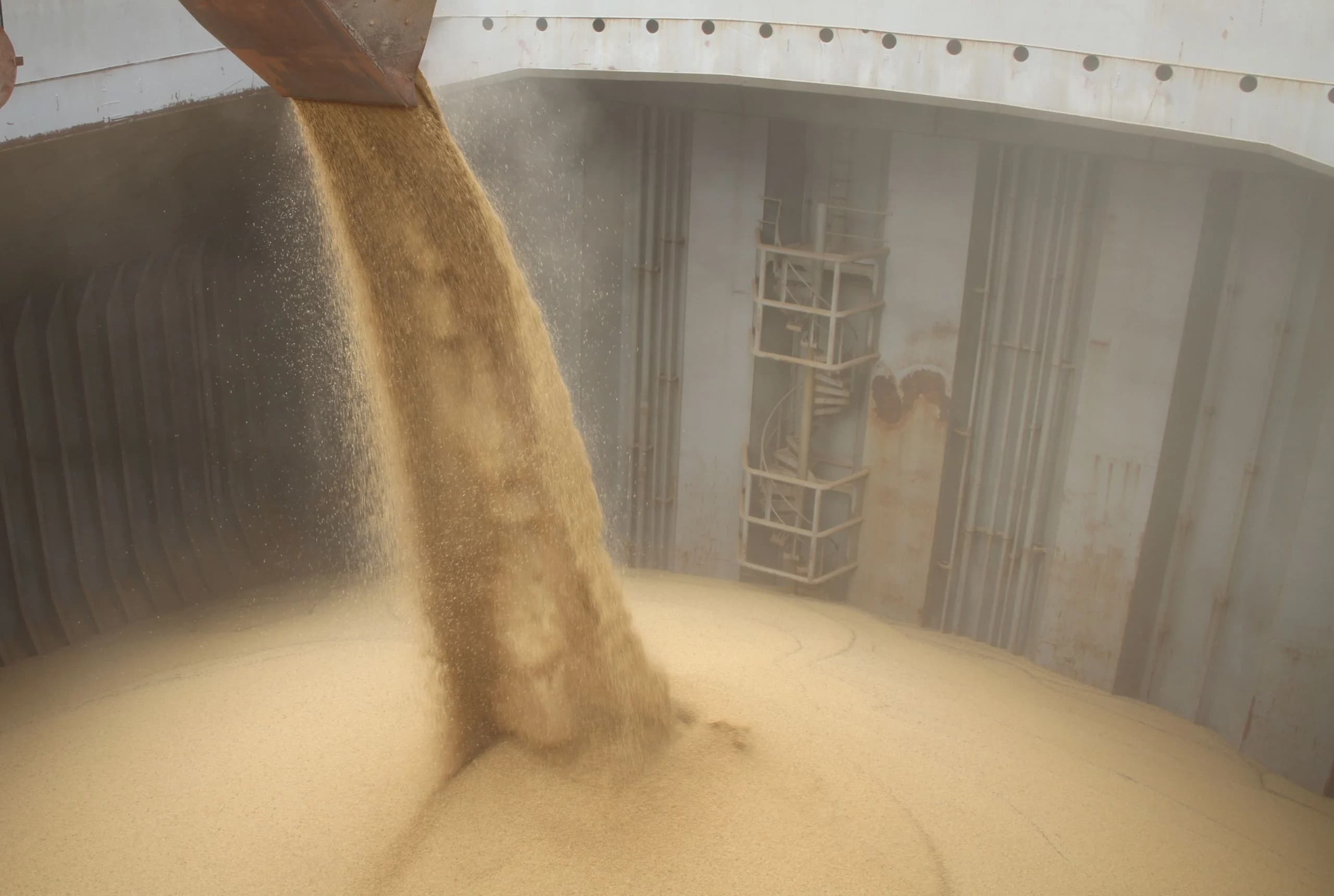 Atualização: Safra recorde de soja pressiona preços, mas El Niño limita quedas no mercado brasileiro