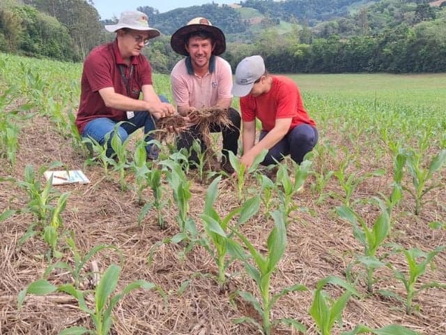 Em destaque: Análise de solo ajuda produtor a economizar com fertilizantes e aumentar a produtividade