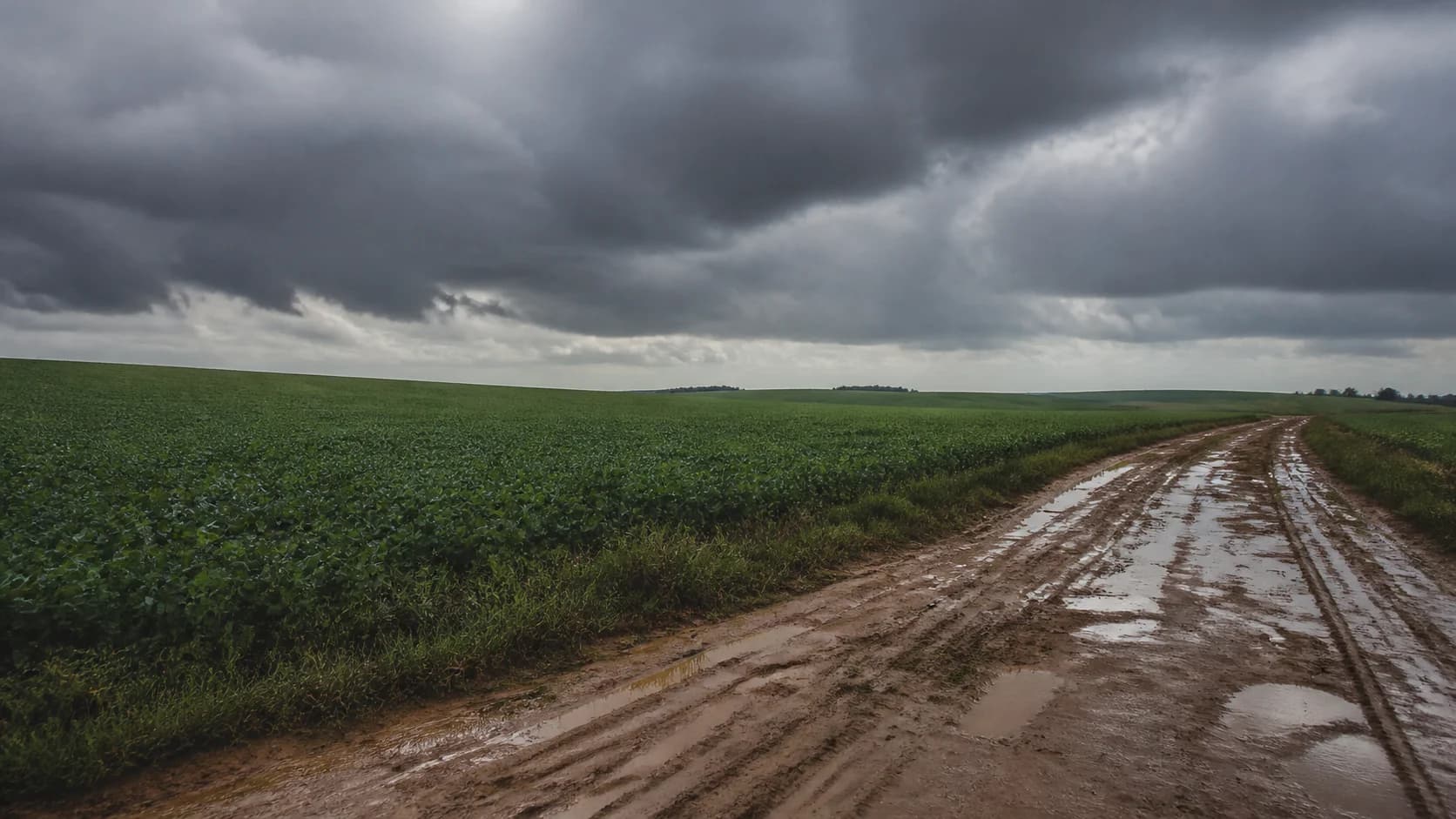 Fique por dentro: Chuva pode chegar a 112 mm em 24 horas em Santa Helena