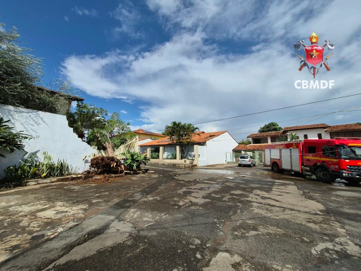 Entenda: Chuva forte derruba árvore sobre muro de casa no Lago Norte