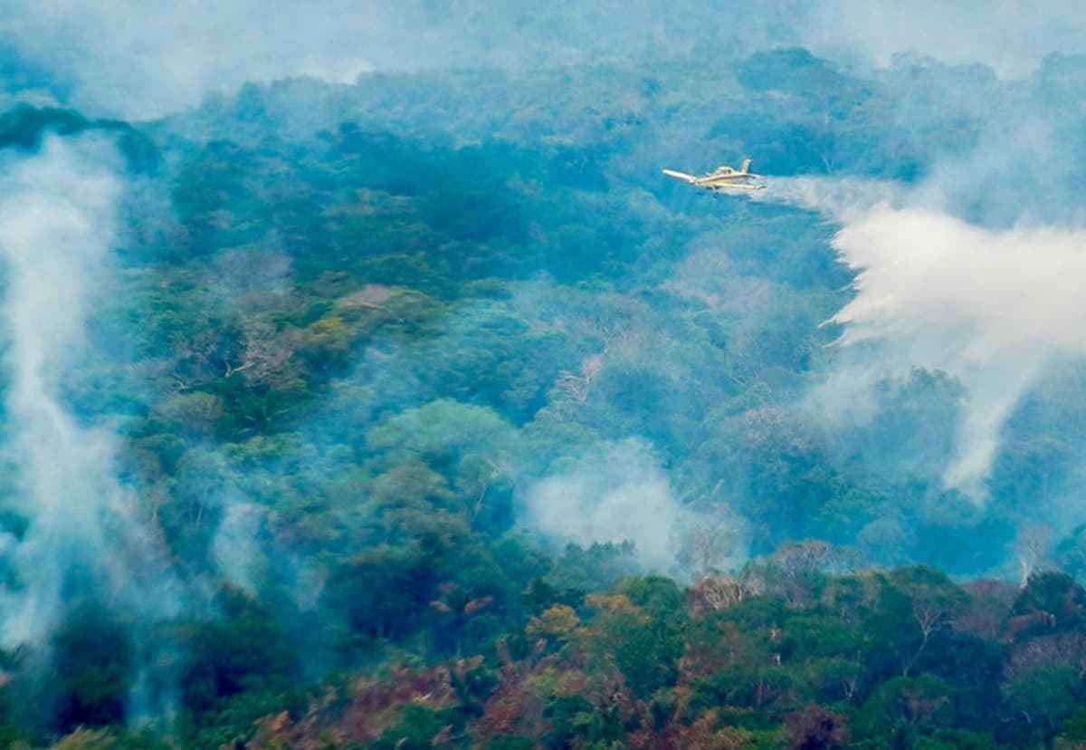 Região: Governo diz ter identificado suspeitos de queimadas criminosas no Amazonas