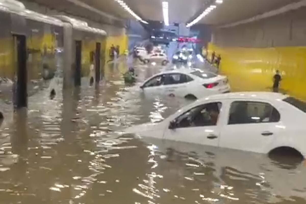 Vereadora cobrou administração municipal de SP sobre prevenção 4 meses antes de temporal