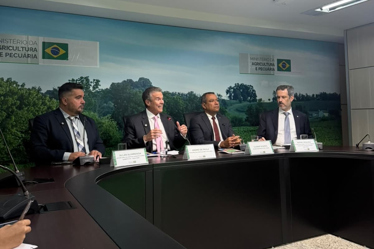 Fique por dentro: Governo confirma foco da doença de Newcastle em granja de perus em SC