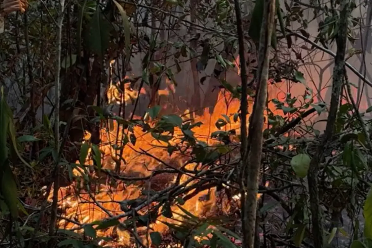 Atualização: Incêndios florestais avançam há mais de duas semanas em Itacoatiara, destroem plantações e ameaçam casas