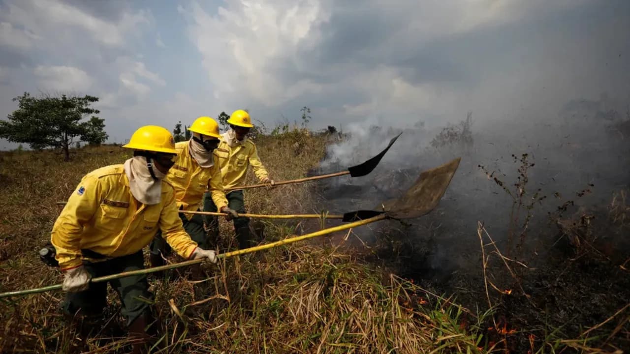 Região: Comitiva do governo federal chega a Manaus para acompanhar combate às queimadas e anunciar novas medidas