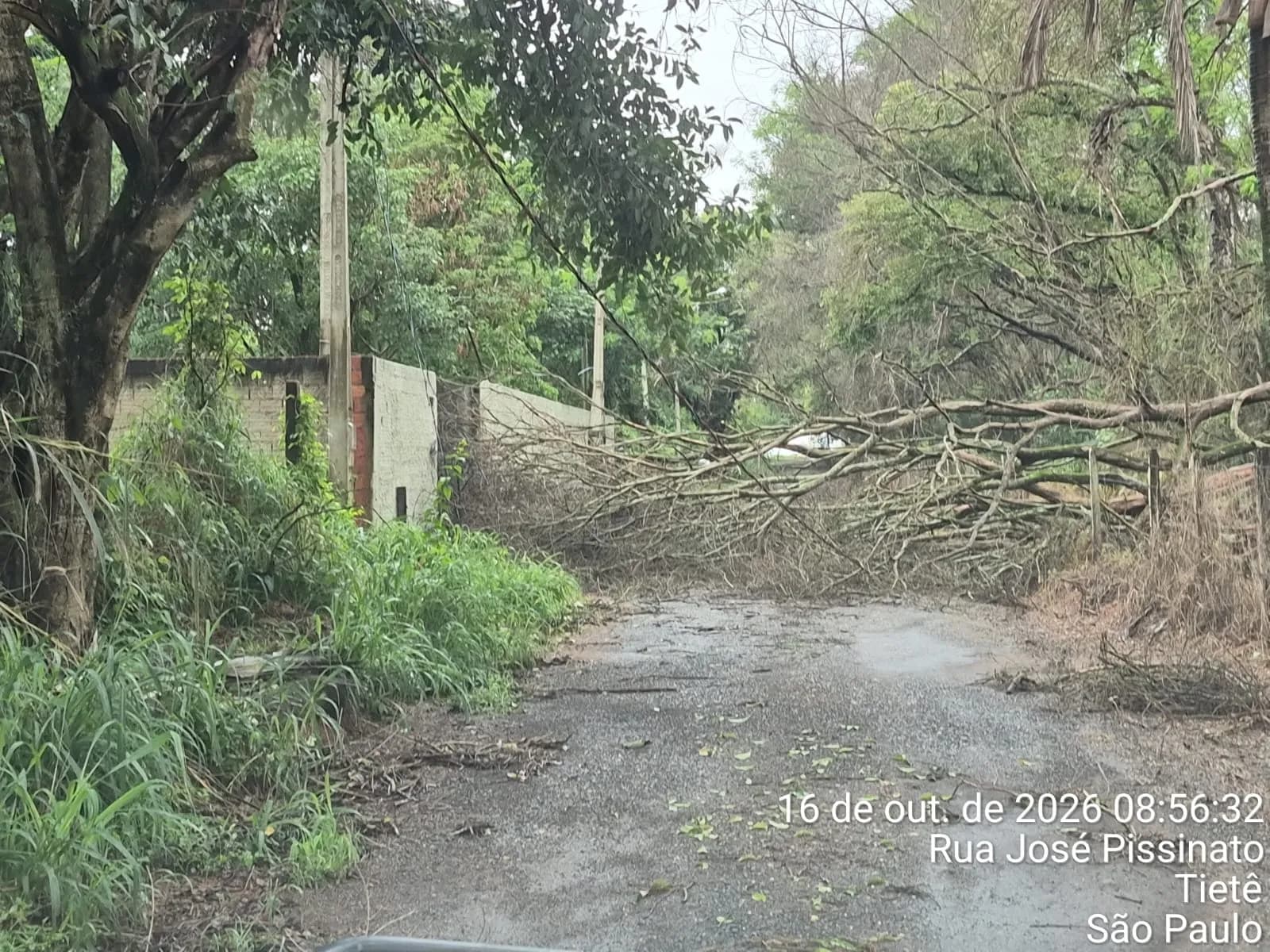 Entenda: Chuva causa queda de árvores e deslizamentos de terra em cidades do interior de SP