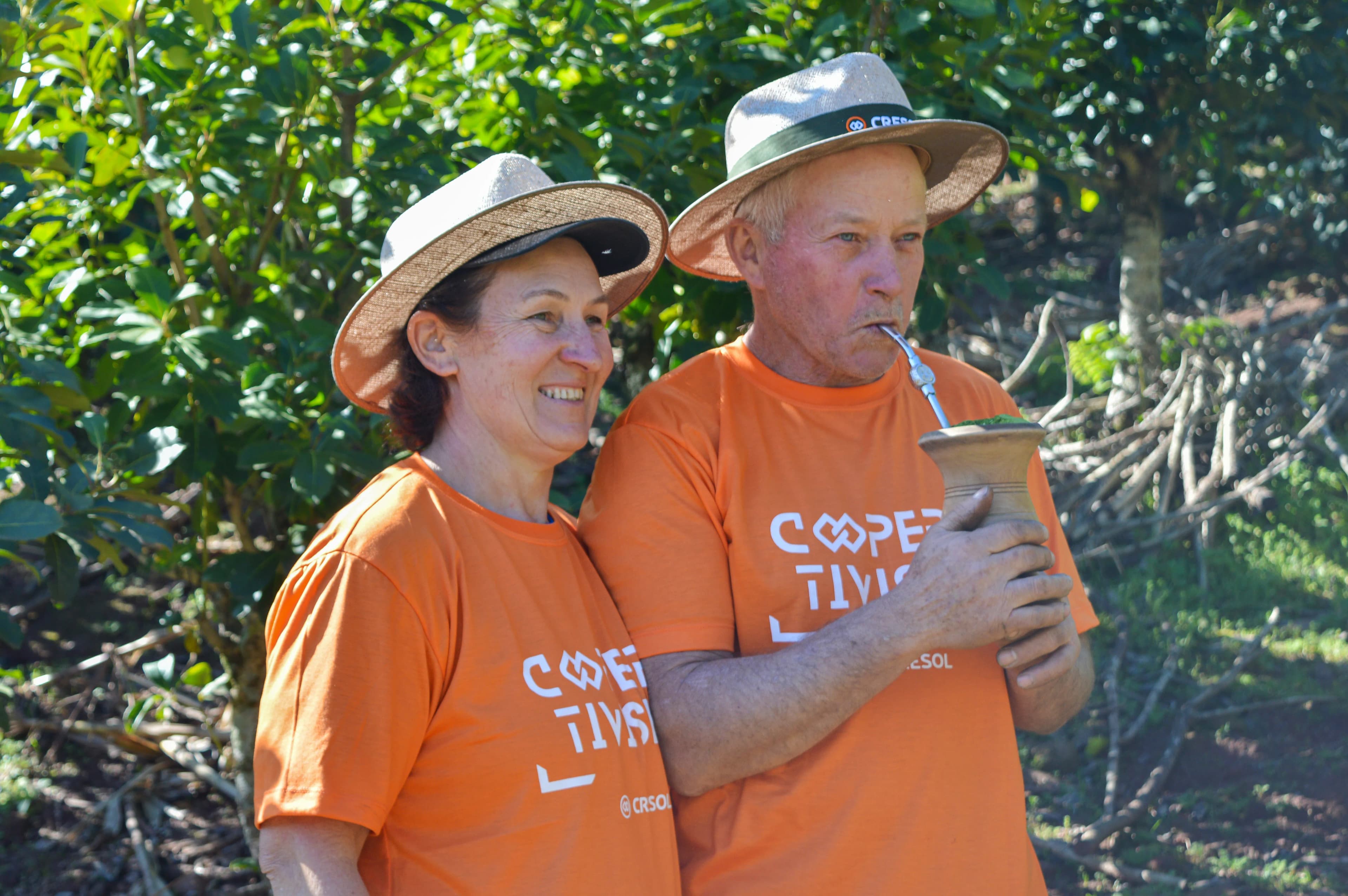 Em destaque: Cultivo de erva-mate une trabalho e tradição em família