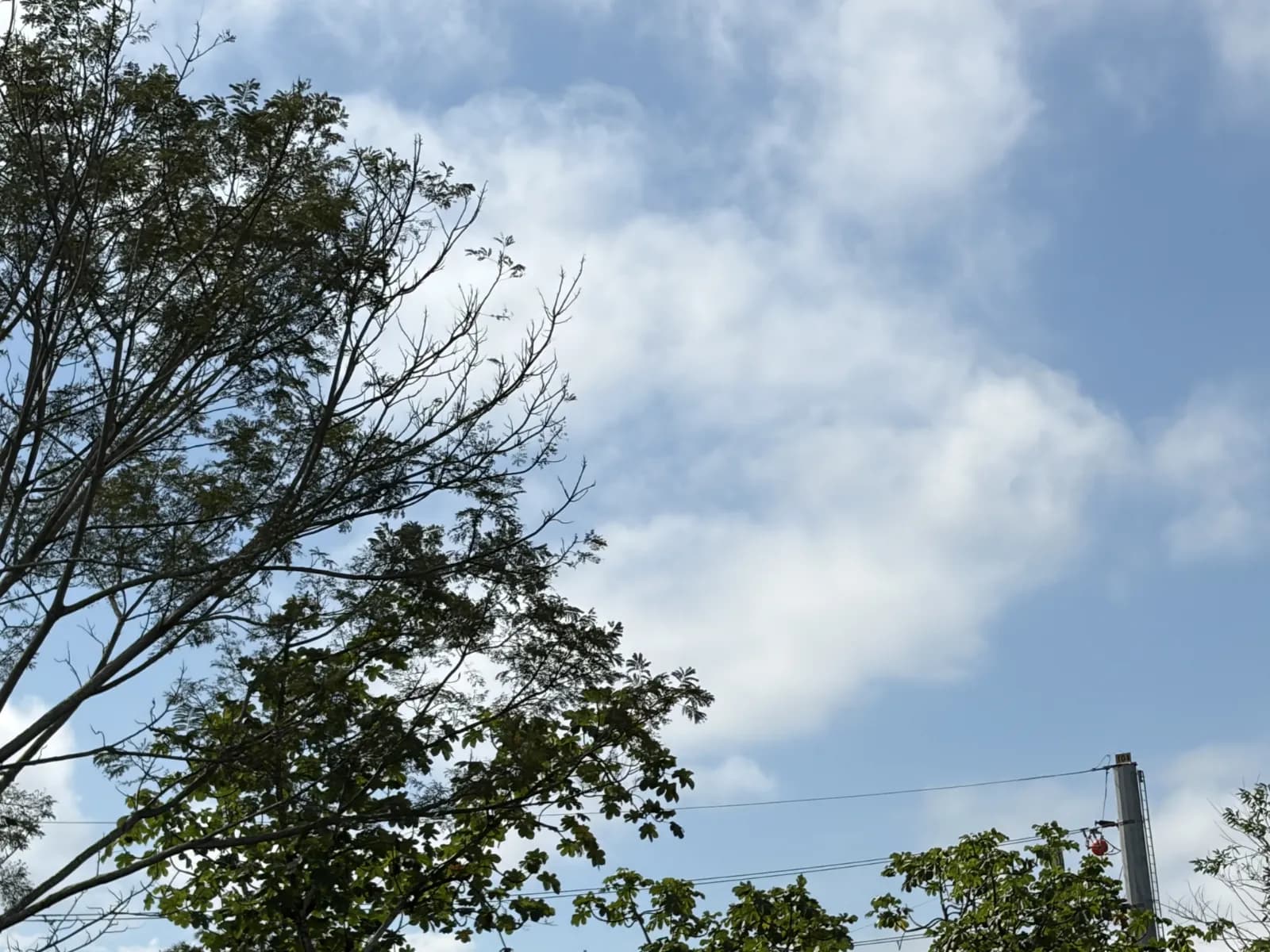 Vale terá tempo firme até quarta, enquanto Litoral tem chance de garoa; chuva volta na quinta-feira — Previsão