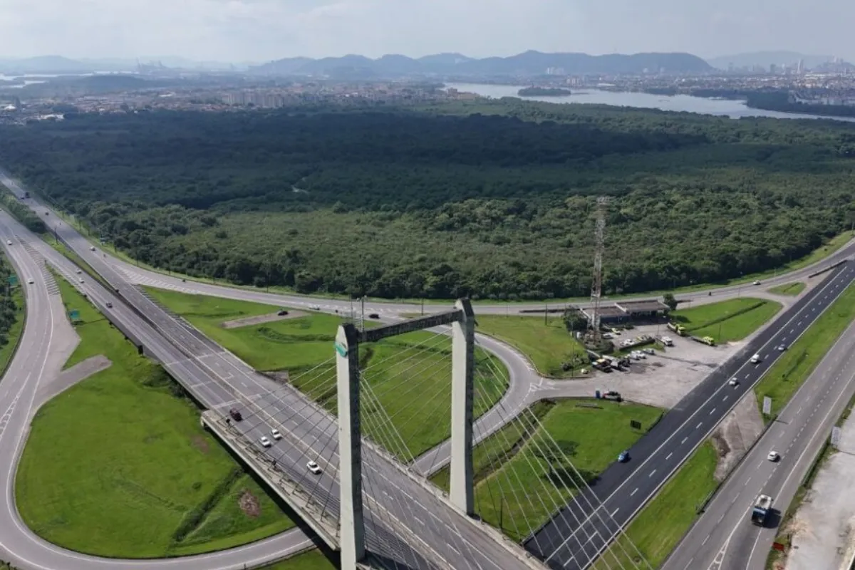 Complexo logístico na Ilha do Tatu ameaça manguezais e mobilidade, diz Poder Executivo de Cubatão