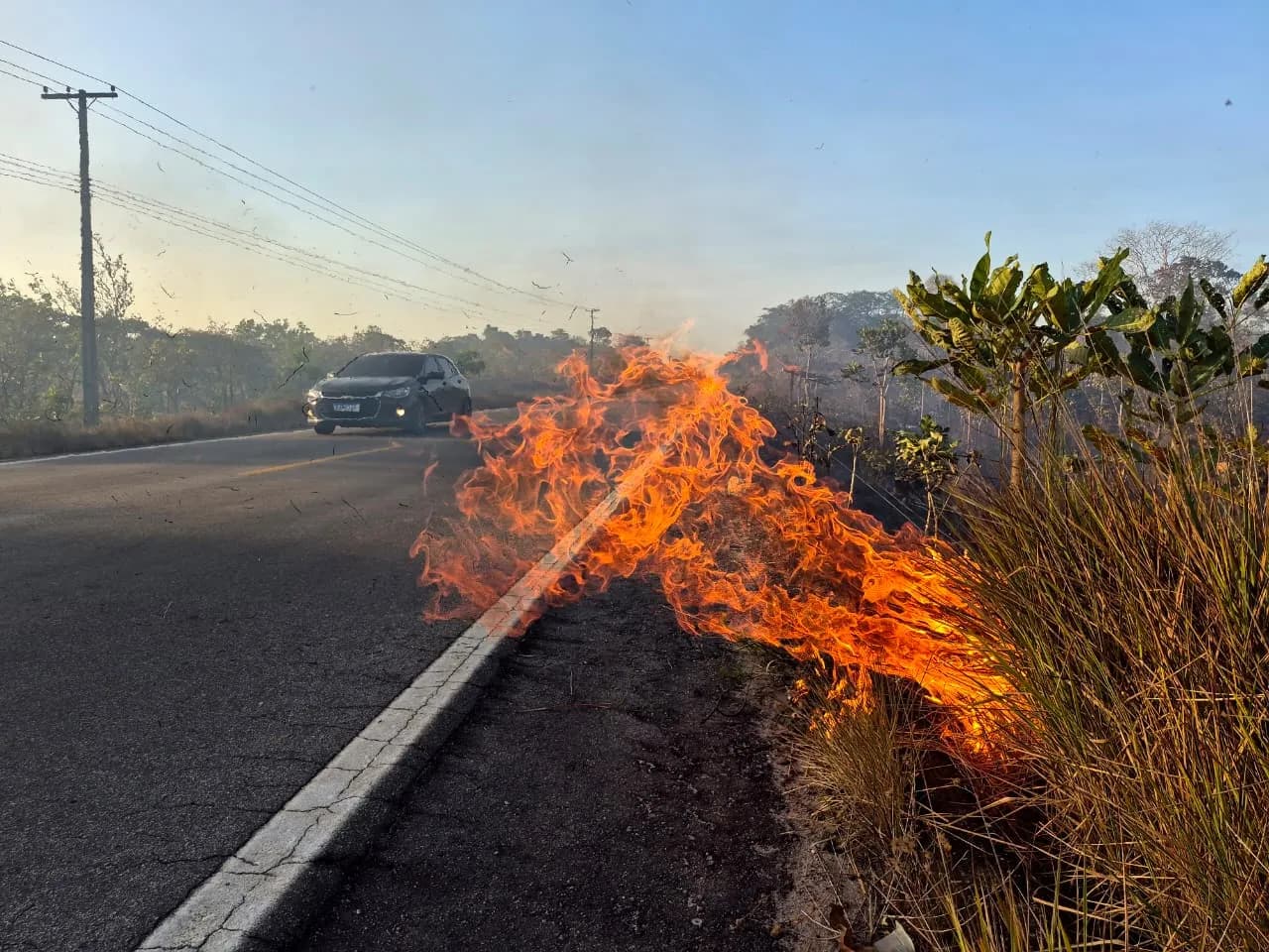 Fique por dentro: Amapá decreta situação de emergência após avanço da estiagem e das queimadas
