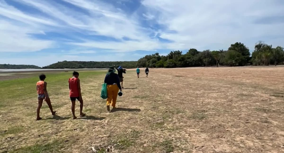 Rio Tapajós recua para 1,67 metro em Santarém; governo local envia caminhonetes para apoiar ribeirinhos