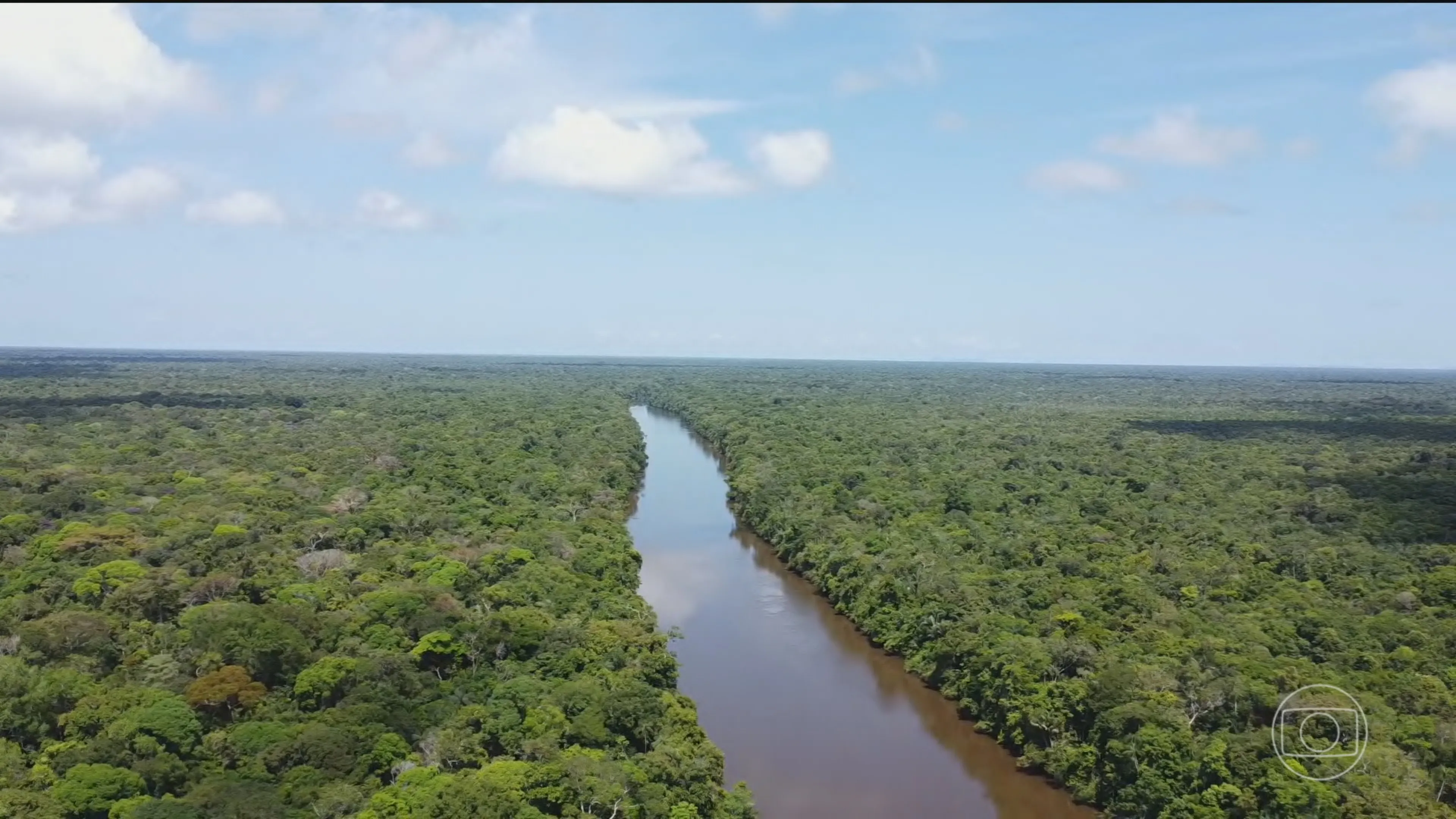 Desmatamento na Amazônia e no Cerrado diminui para o menor nível desde o início das medições