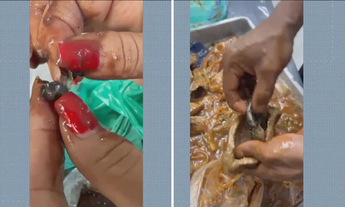 autoridades policiais Penal encontra maconha e haxixe escondidos em feijão e carne durante revista em presídio em Bangu