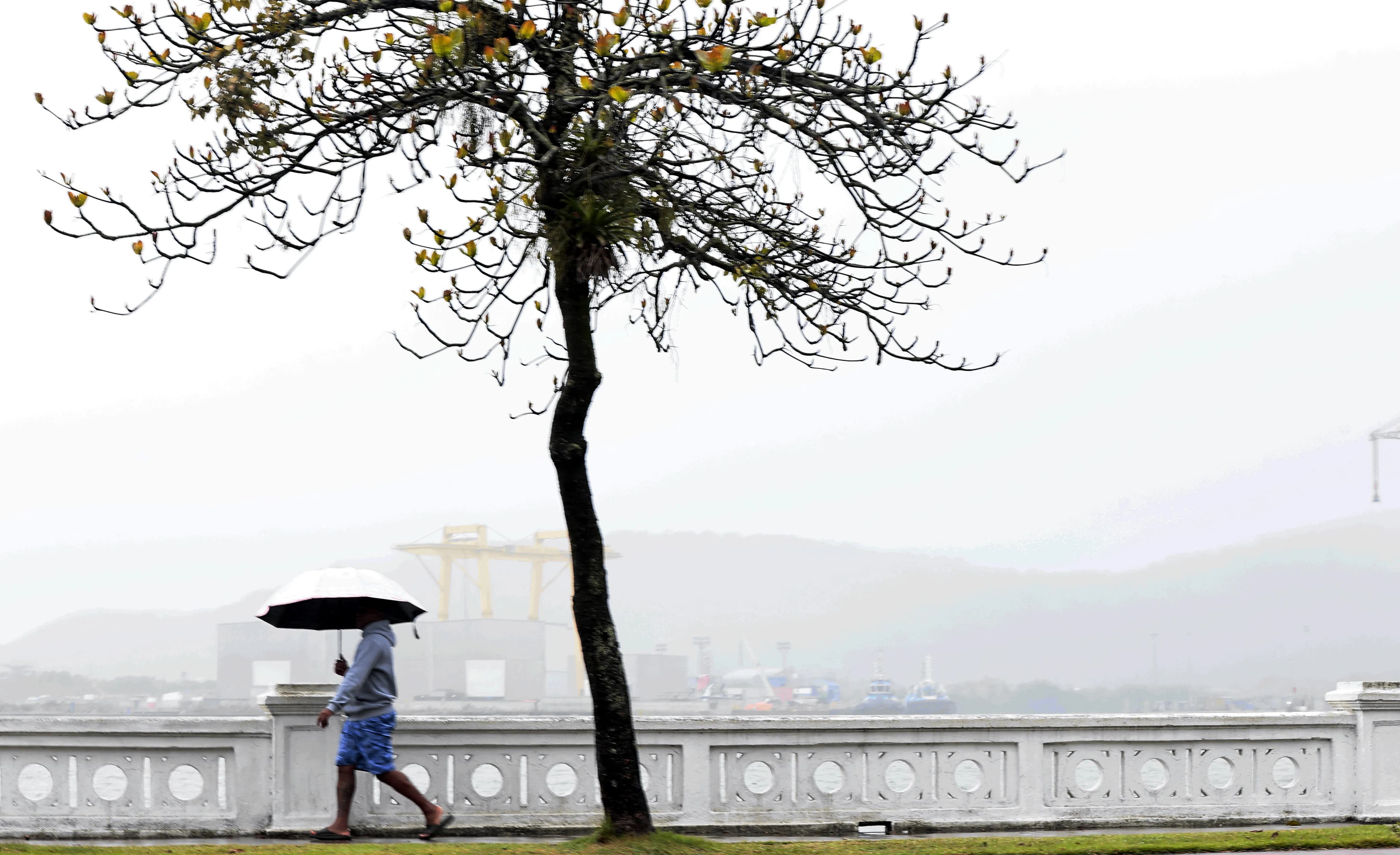 Região: Baixada Santista e Vale do Ribeira têm previsão de chuva forte durante a semana; confira