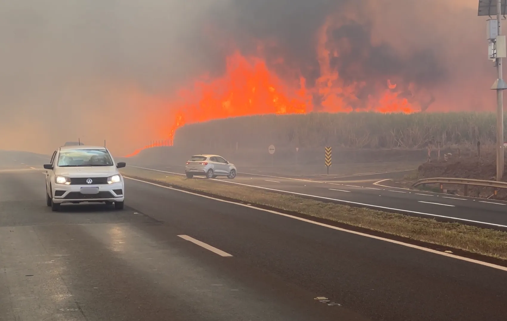os riscos do El Niño para a saúde nas regiões de Ribeirão, Franca e Barretos, SP — Calor, queimadas e dengue