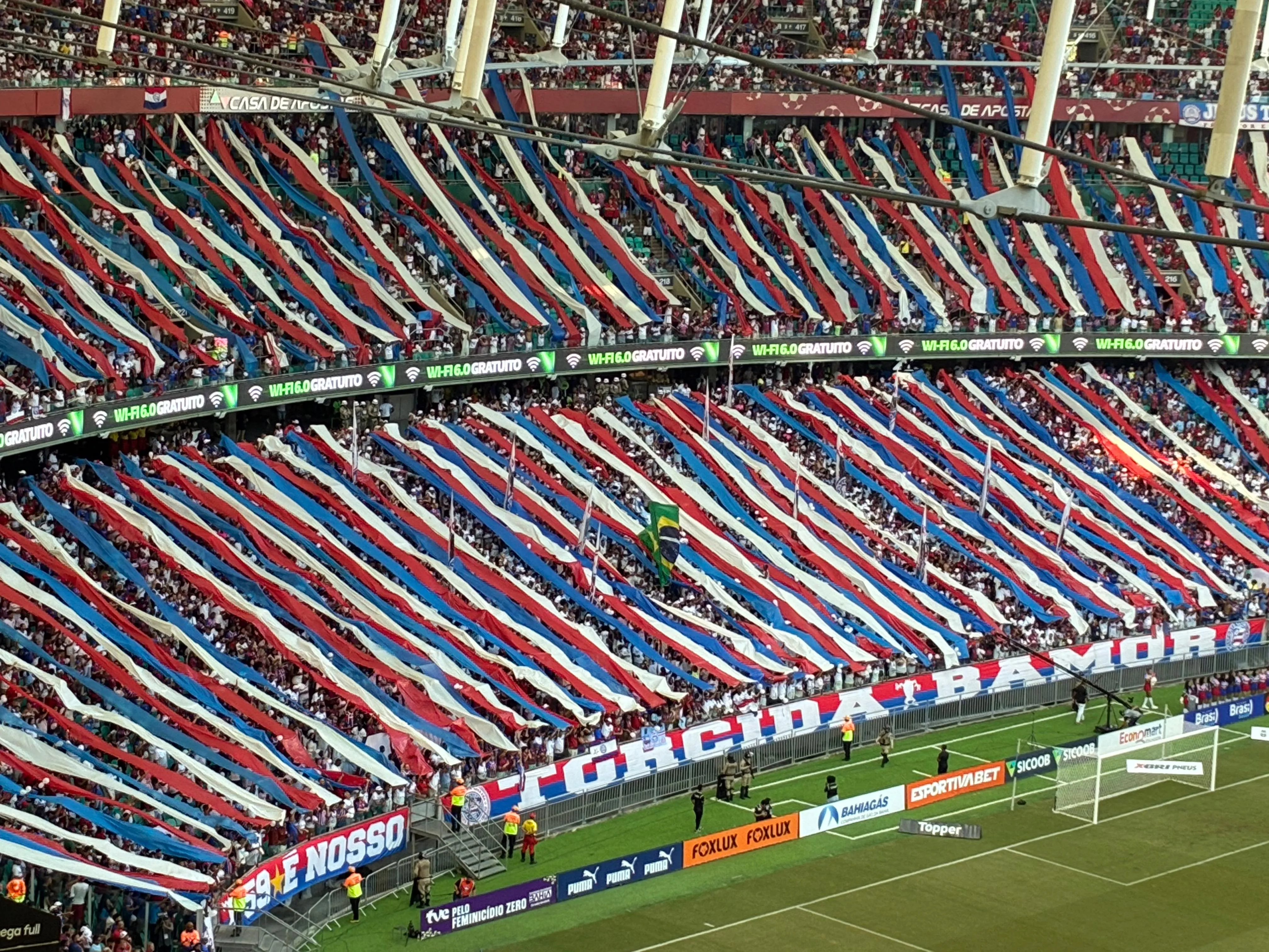 Entenda: Palpites e dicas para Bahia x Flamengo pelo Brasileirão
