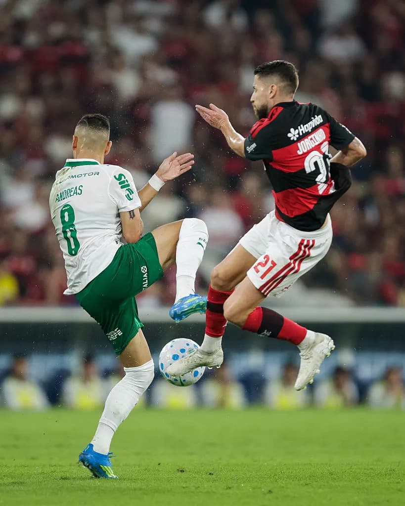 "Diferença de nível" — Rizek elogia atuações de Flamengo e Palmeiras como visitantes